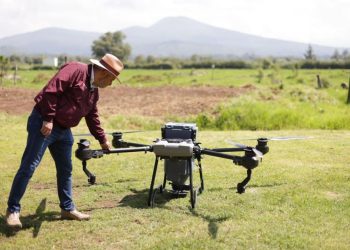 Reforestación con drones supera meta de 250 mil semillas sembradas: Bedolla