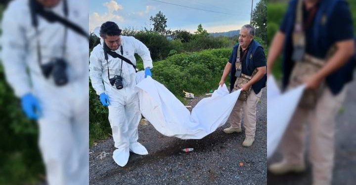 FGE investiga hechos relacionados con arrastre de perrito canino en carretera Quiroga-Morelia