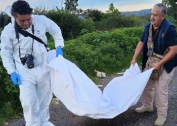 FGE investiga hechos relacionados con arrastre de perrito canino en carretera Quiroga-Morelia