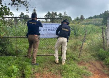 Cumplimenta FGE cateo en predio relacionado con tala ilegal en municipio de Quiroga