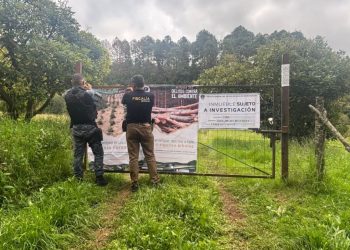Cumplimenta FGE cateo en predio relacionado con tala ilegal y plantación de aguacate en Tacámbaro