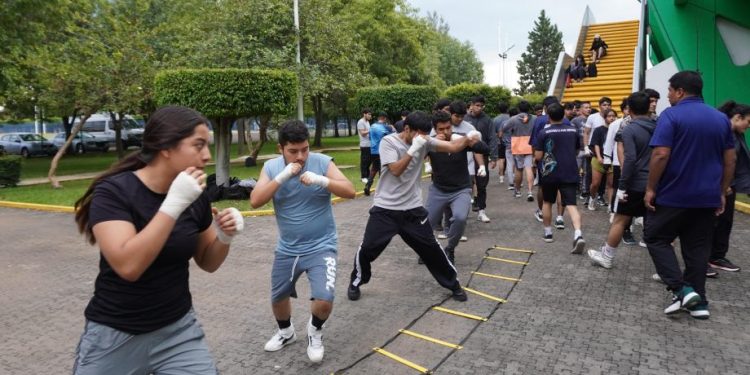 Visorías de la UMSNH-Morelia Informativo