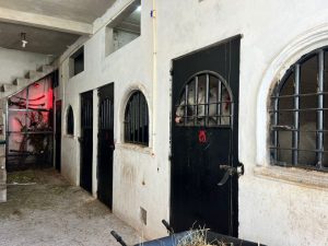 Aseguramiento de inmueble: SSP-Morelia Informativo