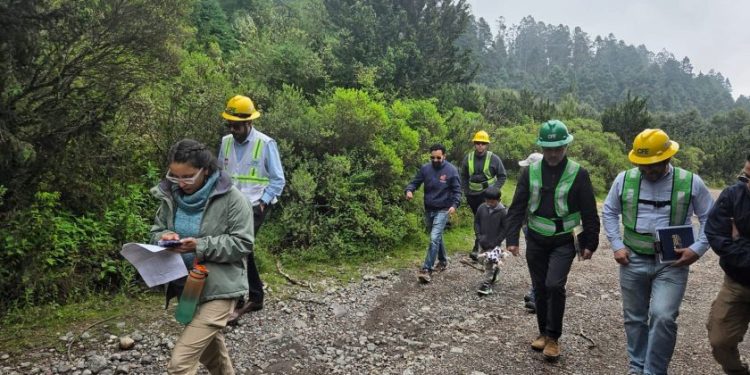 Protección de la Reserva de la Biosfera de la Mariposa Monarca: Sectur-Morelia Informativo