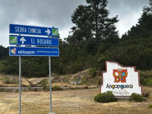 Protección de la Reserva de la Biosfera de la Mariposa Monarca: Sectur-Morelia Informativo
