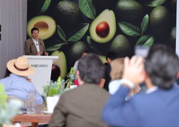 Destaca Alfonso Martínez, potencial de Morelia en el Diamante de México