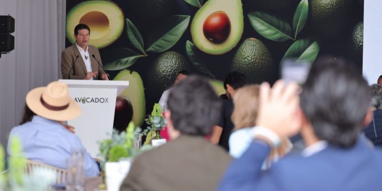 Destaca Alfonso Martínez, potencial de Morelia en el Diamante de México