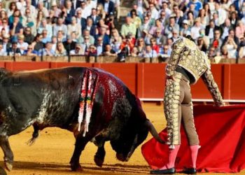 Juez federal niega amparo para corrida de toros