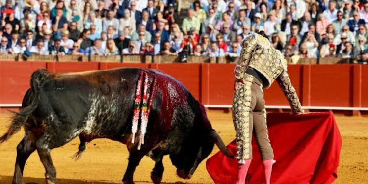 Juez federal niega amparo para corrida de toros