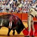 Juez federal niega amparo para corrida de toros