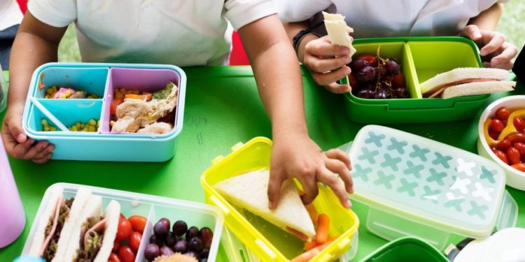 En este regreso a clases prioriza los alimentos frescos y naturales: SSM