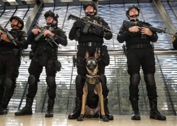 Binomios caninos de la Guardia Civil, aliados en el combate a la delincuencia: SSP