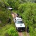 En Tuzantla, SSP y Defensa incineran más de mil 820 kilogramos de marihuana
