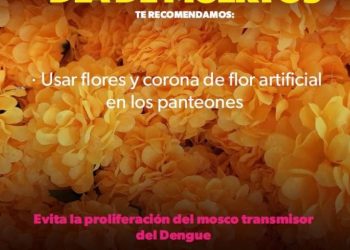 Celebra la Noche de Muertos sin dengue: SSM