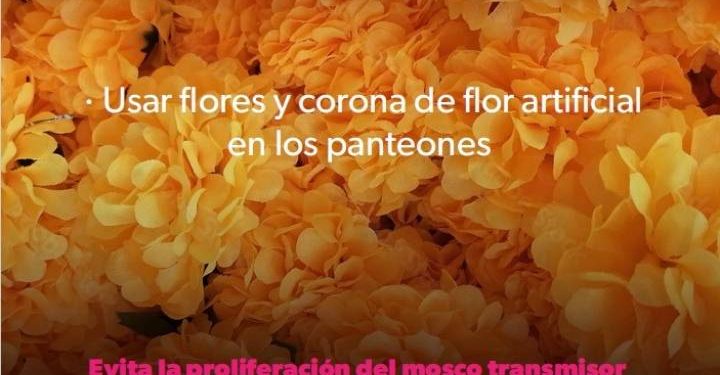 Celebra la Noche de Muertos sin dengue: SSM