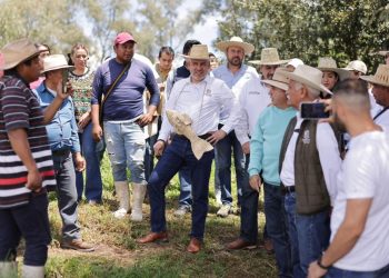 Para proteger al campo, Bedolla envía a Sheinbaum propuesta de precios justos del maíz