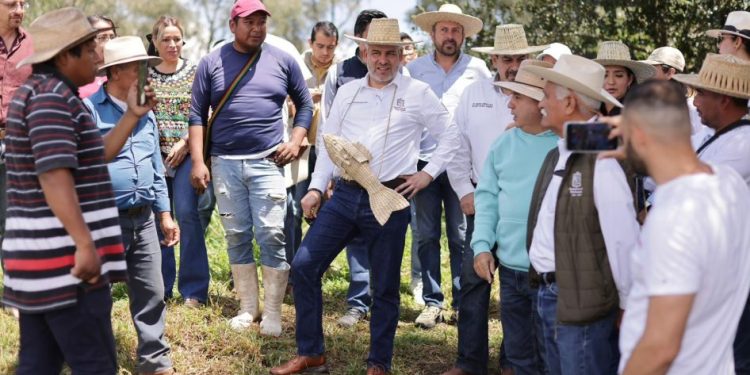 Para proteger al campo, Bedolla envía a Sheinbaum propuesta de precios justos del maíz