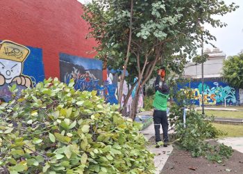 Gobierno de Morelia da mantenimiento integral al área verde de la 5 de Diciembre