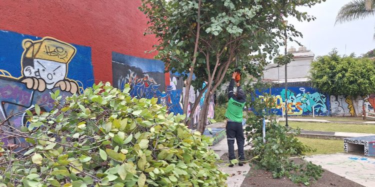 Gobierno de Morelia da mantenimiento integral al área verde de la 5 de Diciembre