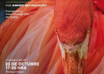 Invita SeCultura Morelia a exposición fotográfica ‘Mensajeros y promesas