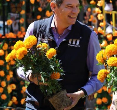 Morelia se viste de colores y olores del cempasúchil