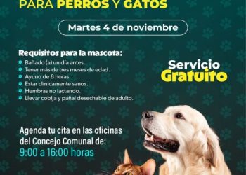SSM llevará jornada gratuita de esterilización animal a la isla de Janitzio