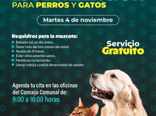 SSM llevará jornada gratuita de esterilización animal a la isla de Janitzio