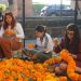SeCultura Morelia, artesanos e instituciones inician montajes de altares y tapetes tradicionales