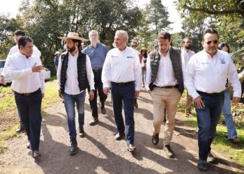 Con más de 3.8 millones de toneladas, Michoacán lidera producción nacional de aguacate, limón y berries