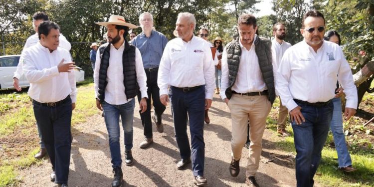 Con más de 3.8 millones de toneladas, Michoacán lidera producción nacional de aguacate, limón y berries