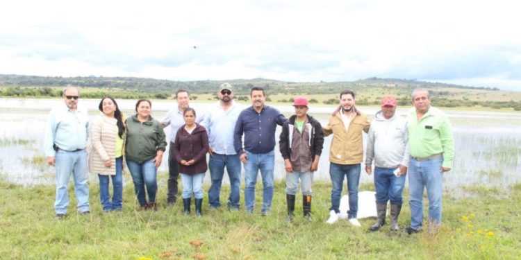 Secretaría de Agricultura y Desarrollo Rural de Morelia entrega crías de carpa a productores acuícolas