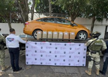 Dentro de operativo Blindaje Morelia, asegurados más de 57 kilos de mariguana: SSP