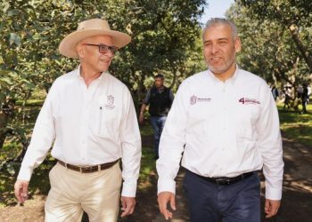 Busca Bedolla proteger y distinguir aguacate michoacano con Indicación Geográfica