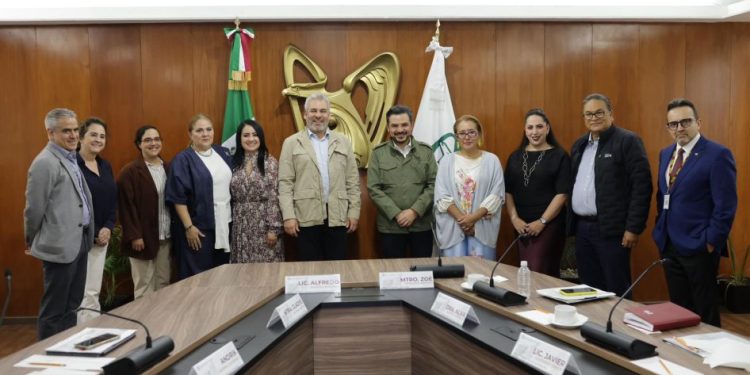 En aumento la formalización laboral en Michoacán: Bedolla