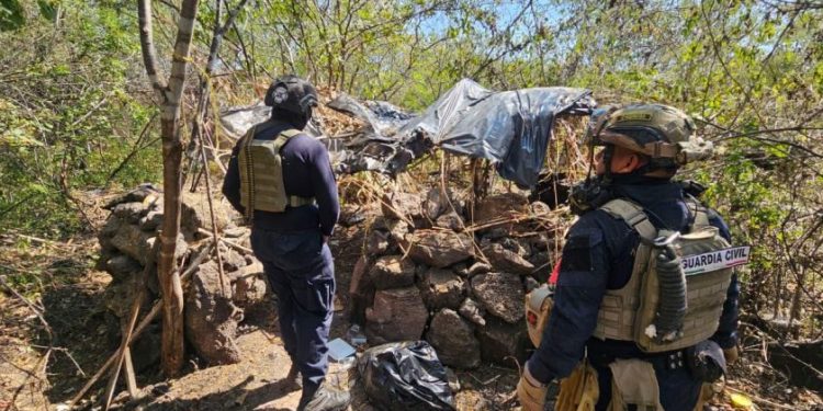 Desmantelados 4 campamentos clandestinos en Buenavista: SSP