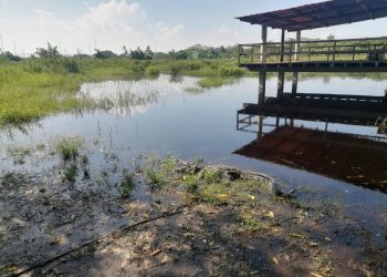 En Brasil, Secma presenta proyecto de cocodrilario ecoturístico en Lázaro Cárdenas