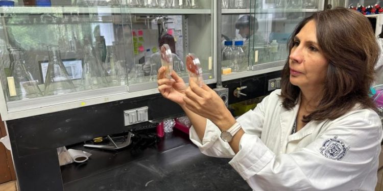 La investigadora nicolaita, Lourdes Macías, considerada como una de las mejores a nivel mundial