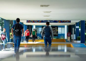 UMSNH lanza convocatoria para “Sumar y multiplicar por Michoacán” con servicio social