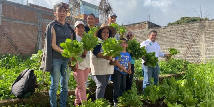 Agrosano ha entregado 150 mil aves e insumos para la soberanía alimentaria de 15 mil familias: Sader