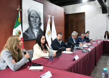 Empatía para personas con discapacidad pide Yadira Guerrero al gobernador Ramírez Bedolla
