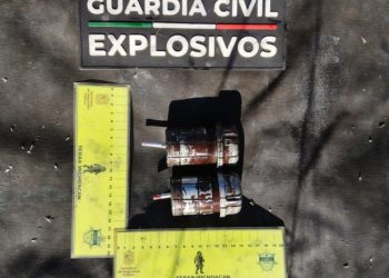Desactivados dos artefactos explosivos improvisados en Madero: SSP