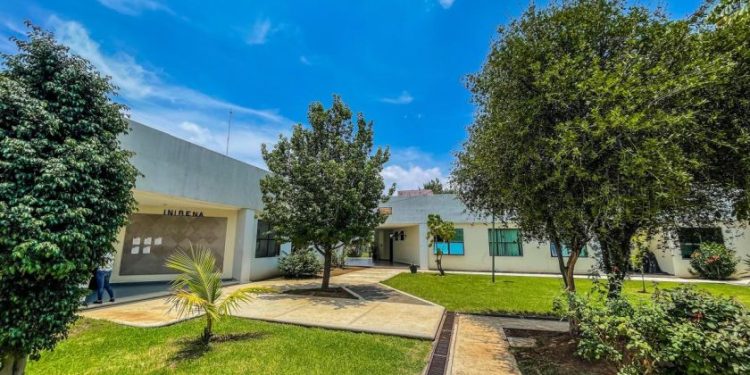 Con un programa flexible, Maestría en Ciencia en Ecología Integrativa de la UMSNH abre su convocatoria