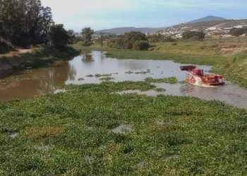 Gobierno de Michoacán avanza en la rehabilitación del Río Lerma en La Piedad