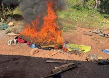 En Uruapan, dos campamentos destruidos y 5 kg de metanfetamina asegurados dentro del Plan Paricutín: SSP