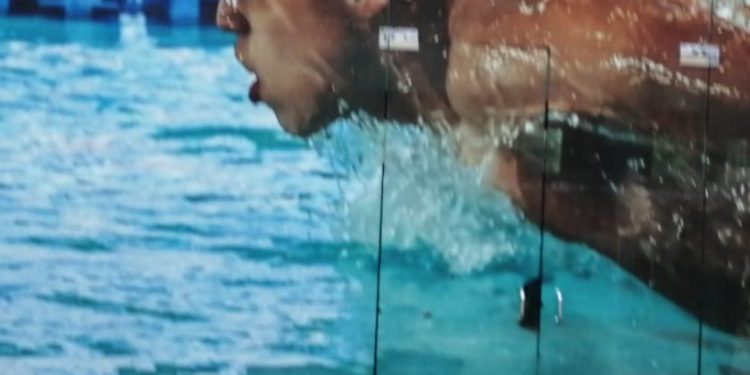 Realizarán Imcufide y Simude la II edición de la Navidad Acuática 2025