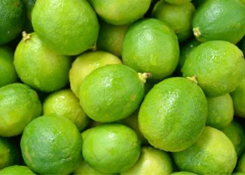 Plan Michoacán destina 720 mdp para apoyo a productores de cítricos en Tierra Caliente: Sader