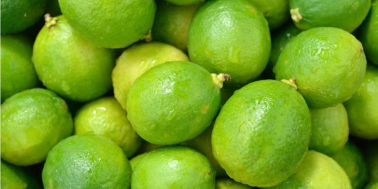 Plan Michoacán destina 720 mdp para apoyo a productores de cítricos en Tierra Caliente: Sader