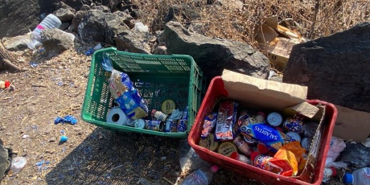 SSP desactiva 15 artefactos explosivos y destruye campamento clandestino en Apatzingán