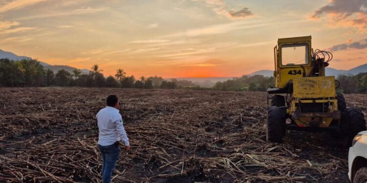 Histórica inversión de 353 millones de pesos para transformar el sector cañero en Michoacán