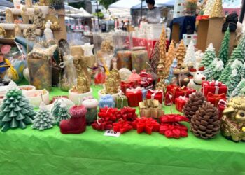 Sefeco cierra con éxito el 3er Festival Navideño